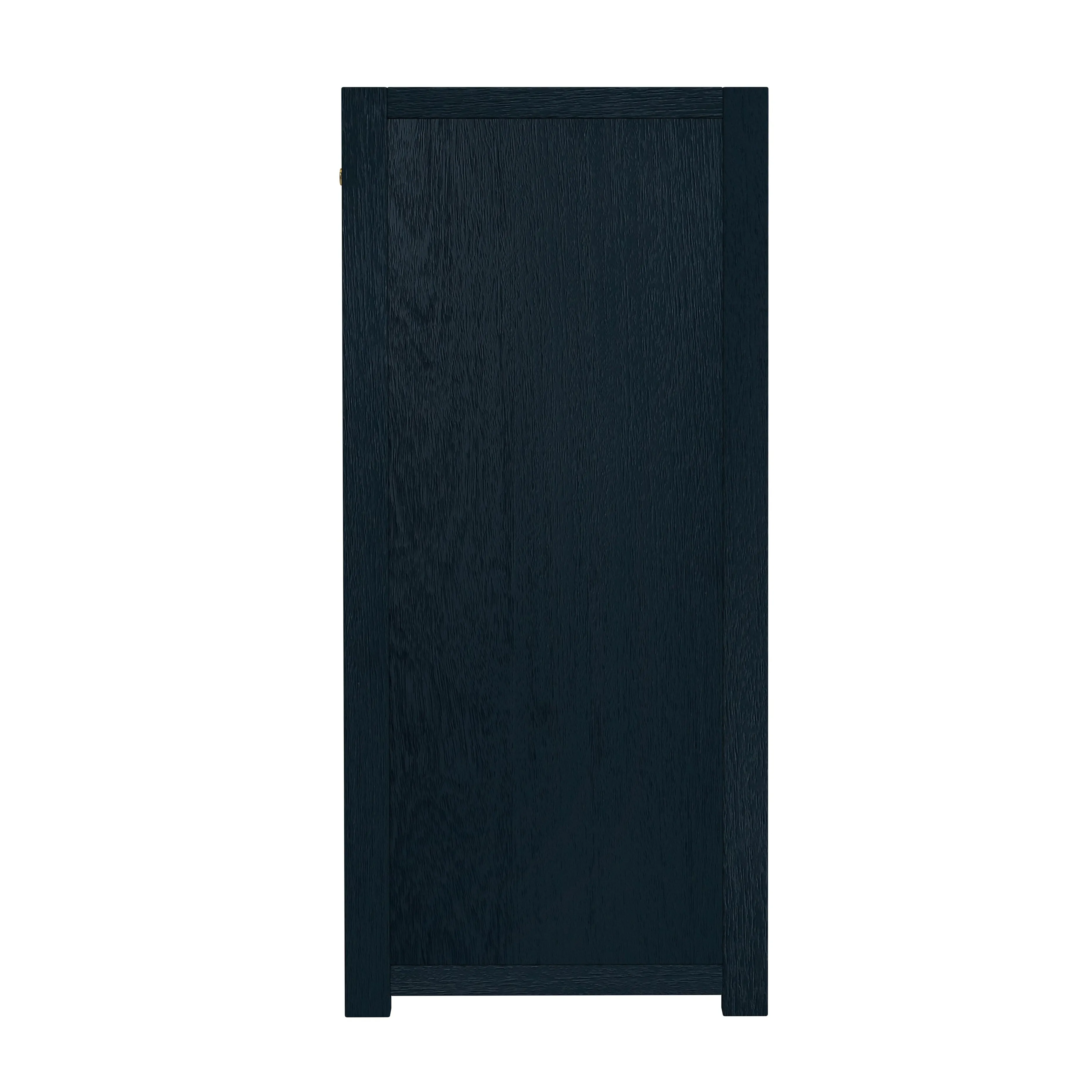 Lark 2 Door Cabinet with Storage in Navy Blue  5673291