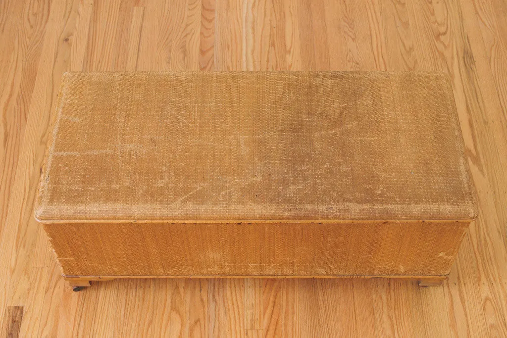 Vintage Basswood Trunk